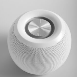 Ceiling Speaker