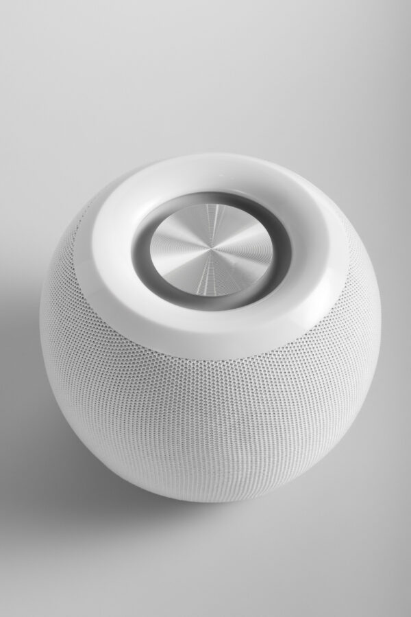 Ceiling Speaker